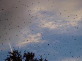 photo coins arrondis